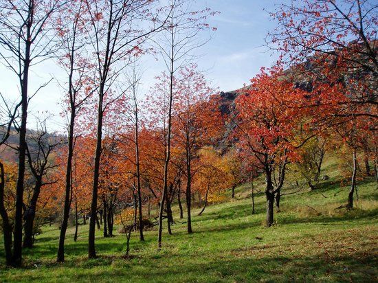 Réserve naturelle Divoká Šárka